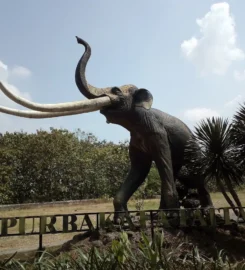 Museum Purbakala Patiayam