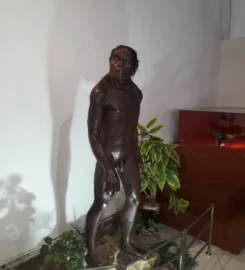 Museum Purbakala Patiayam