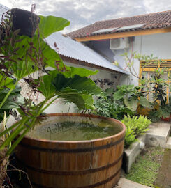 Wonderloft Hostel Jogja