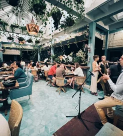 Muse Cafe & Art