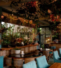 Muse Cafe & Art