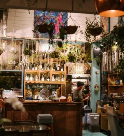 Muse Cafe & Art
