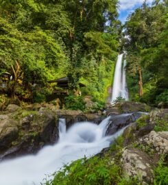 Air Terjun Gitgit