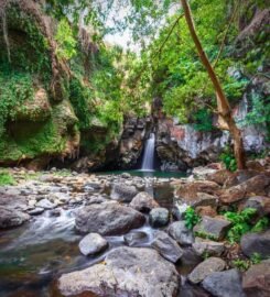 Air Terjun Tembok Barak