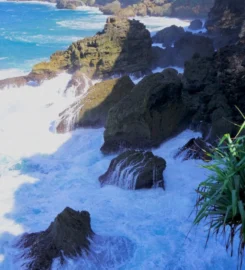 pantai ngungap