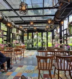 Orchid Tea Lounge