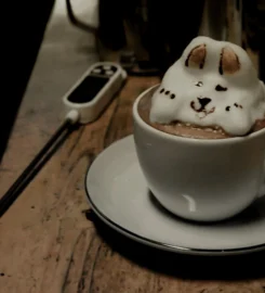 Lagani Coffee & Co