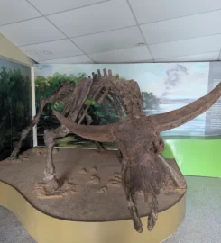 Museum Prasejarah Cluster Dayu