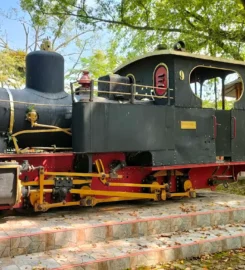 Agrowisata Loco Antik Tegal