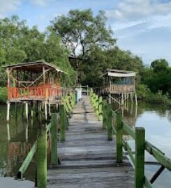 Ekowisata Mangrove Sicanang