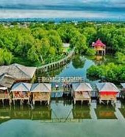 Ekowisata Mangrove Sicanang