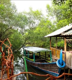Ekowisata Mangrove Sicanang