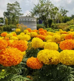 The World Landmarks – Merapi Park Yogyakarta