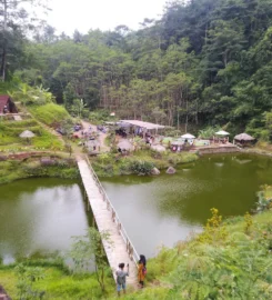 Wisata Telaga Harun Somosari