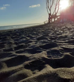 Pantai Kuwaru