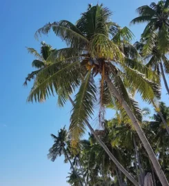 Pantai Bara Beach
